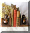 Bronzed shoes on walnut bookends