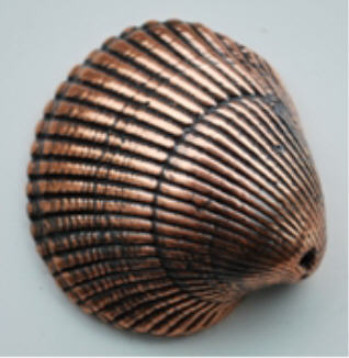 Bronzed Shell